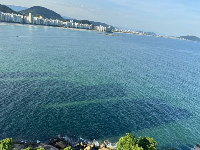 Apartamento - Venda - Jardim Astrias - Guaruj - SP