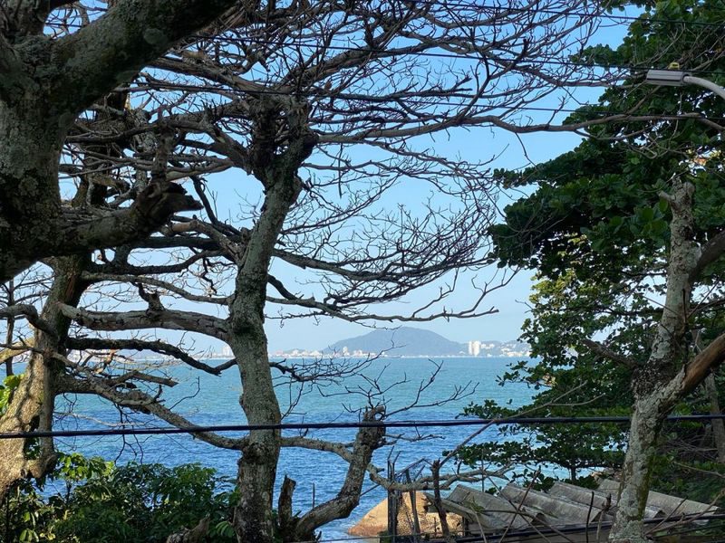 Apartamento - Venda - Jardim Astrias - Guaruj - SP